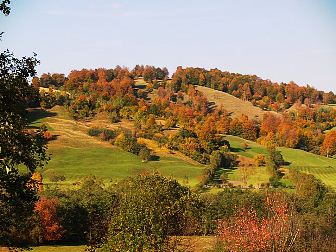 Tagesausflüge um Brasov und in die Karpaten