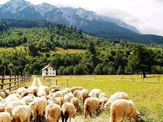 Tagesausflüge um Brasov und in die Karpaten