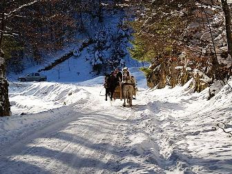 Ski in Rumänien und in den Karpaten