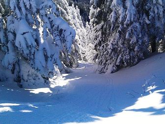 Ski in Rumänien und in den Karpaten